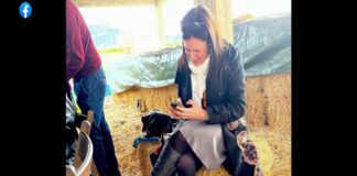 È Miriam Di Peri, giornalista del quotidiano ‘la Repubblica’ di Palermo, la vincitrice della prima edizione del Premio ‘Cronista parlamentare 2022’ intitolato a Camillo Pantaleone, ultimo responsabile dell’ufficio stampa dell’Assemblea regionale siciliana scomparso nel 2014