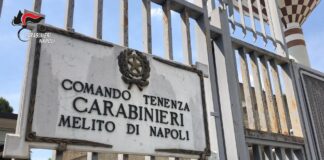 Nessun reato da segnalare, nessuna minaccia incombente cui far fronte: la chiamata arrivata al 112 in provincia di Napoli e’ stata diversa dal solito
