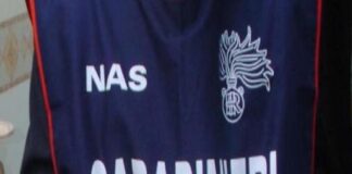 In occasione delle imminenti Festività natalizie, il Comando Carabinieri per la Tutela della Salute, di concerto con il Ministro della Salute, ha intensificato i controlli sui prodotti alimentari tipici del periodo