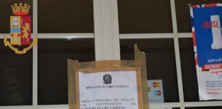 Nel corso di intensificati servizi di contrasto al traffico delle sostanze stupefacenti i componenti della Squadra Mobile di Vibo, in sinergia operativa con i membri della Squadra di Polizia Giudiziaria del Posto Fisso di Tropea, hanno effettuato serrati controlli lungo la c.d. Costa degli Dei