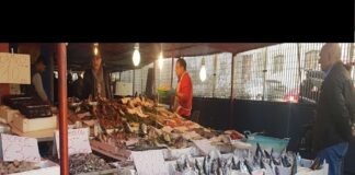 Si è conclusa il 24 dicembre 2022 l’operazione complessa nazionale “Senza Traccia” che ha visto, dal 5 dicembre, il personale della Guardia Costiera impegnato a livello nazionale nei controlli relativi alla filiera pesca. Coordinati dal Comando Generale del Corpo delle Capitanerie di porto e dalla Direzione Marittima di Catania, i militari della Guardia Costiera di Messina e dell’Ufficio Locale Marittimo di Giardini Naxos (ME) hanno eseguito, sia a terra che a mare, controlli riguardanti esercizi commerciali e di ristorazione, attività di ispezione ad automezzi, nonché controlli a carico di pescatori professionali e diportisti