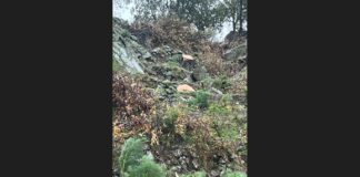 Personale del Corpo Forestale Regione Siciliana di stanza al Distaccamento F.le di Cesarò, su disposizione del Serv. 12 IRF ME, rinveniva nella c.da Montagna Granmde loc. Zia e Colla in agro del Comune di Motta Camastra (ME) il taglio illecito di numerose piante di Castagno e querce, apertura di piste, il tutto all’interno della 1^ zona degli atti di vincolo idrogeologico