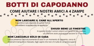 “Capodanno si avvicina e con esso anche la tradizione dei «botti»: pur nella comprensione di un’usanza radicata, vi chiedo di pensare agli animali e alle gravissime conseguenze che i colpi possono creare per la loro salute fisica e mentale”