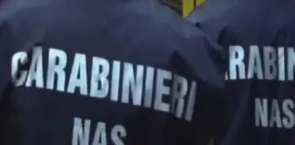 E’ risultata abusiva una casa di riposo di Siracusa la cui attività è stata sospesa: l’accertamento è stato compiuto dai carabinieri del Nas, per i quali la struttura, per un valore di 350 mila euro, era priva di iscrizione all’albo comunale