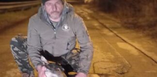 Non solo i gravi danni alle persone, con un bambino di 10 anni a cui è stata amputata una mano e un anziano di 80 anni in gravissime condizioni: i botti di Capodanno, si sa, sono molto pericolosi anche per gli animali, che si spaventano molto a sentirli… con conseguenze che possono portare sino alla morte, come avvenuto a Modena