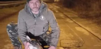 Non solo i gravi danni alle persone, con un bambino di 10 anni a cui è stata amputata una mano e un anziano di 80 anni in gravissime condizioni: i botti di Capodanno, si sa, sono molto pericolosi anche per gli animali, che si spaventano molto a sentirli… con conseguenze che possono portare sino alla morte, come avvenuto a Modena