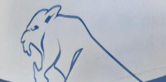 Ha minacciato la ex di spararle ed è stato arrestato dalla Polizia dopo la telefonata della donna, a Cosenza: è accusato di atti persecutori ed è stato denunciato per porto di armi ed oggetti atti ad offendere e guida senza patente