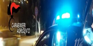 Un ragazzo di 32 anni si trova al momento ricoverato nel reparto di Rianimazione dell’ospedale Villa Sofia di Palermo dopo che è stato raggiunto da alcuni colpi di fucile