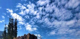Gli agenti della Sezione Polizia Stradale di Caltanissetta, nel corso dei servizi di vigilanza stradale eseguiti sulla autostrada A/19, hanno sanzionato due automobilisti distratti che, avendo superato lo svincolo di uscita dell’autostrada, effettuavano una pericolosa manovra in retromarcia vietata dal codice della strada e sanzionata con 430 euro di multa e la decurtazione di 10 punti dalla patente di guida
