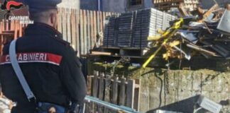 I Carabinieri della Stazione di Cesarò, nell’ambito di un’attività finalizzata alla prevenzione e repressione dei reati ambientali, hanno deferito in stato di libertà un 31enne