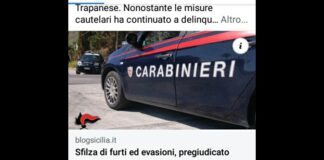 I carabinieri della stazione di Napola a Trapani, hanno arrestato per furto ed evasione un pregiudicato di 25 anni