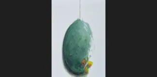 Sarà inaugurata a Francavilla di Sicilia presso Palazzo Cagnone la personale dell’artista internazionale Antonino Siragusa intitolata “Sicily”