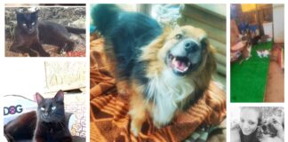 “Oggi, a distanza di 14 giorni dal massacro si iniziano a fare i resoconti”