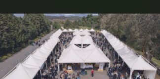 L’evento più importante dedicato ai vini del vulcano più alto d’Europa “Le Contrade dell’Etna” è alle porte: si tratta della manifestazione che, quest’anno per la Quattordicesima Edizione, radunerà i diversi produttori vitivinicoli del comprensorio delle Contrade permettendo di usufruire di una vetrina privilegiata e di altissimo calibro nella tre giorni destinata agli addetti ai lavori quindi esperti, organi di stampa specializzata, critici, aziende ed operatori di settore del circuito Horeca