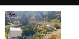 I Carabinieri della Stazione di Castanea delle Furie, nell’ambito di un’attività finalizzata alla prevenzione e repressione dei reati ambientali, hanno denunciato un 42enne, già noto alle Forze dell’ordine, ritenuto responsabile dei reati di deposito incontrollato di rifiuti speciali e non, in assenza dei prescritti titoli autorizzativi e cautele di legge