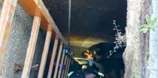 Nella mattinata di oggi 27 marzo 2023 alle ore 07.30 nei pressi delle Case Gialle di Bordonaro a Messina una donna di 58 anni è finita accidentalmente in un pozzo della fognatura, profondo oltre 4 metri… a causa del cedimento della botola di copertura