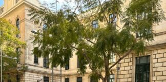 Nella scorsa serata di sabato, a Pedalino, la Polizia di Stato ha tratto in arresto un soggetto di 21 anni, residente a Comiso, per il reato di rapina aggravata ai danni di un’anziana donna