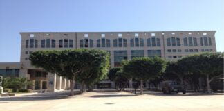 Saranno processati per truffa e false comunicazioni in bilancio gli ex dirigenti della “Viola Reggio Calabria”, la società di basket della città dello Stretto: si tratta dell’ex presidente Raffaele Monastero, dell’ex consigliere delegato Francesco Terranova e degli ex soci e amministratori di fatto Cesare Giovanni Muscolino e Giuseppe Campisi