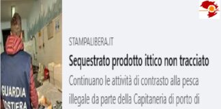 Continuano le attività di contrasto alla pesca illegale da parte della Capitaneria di porto di Messina: nella giornata di ieri personale militare dipendente ha effettuato un’operazione di controllo sul territorio comunale di Furci Siculo (ME)