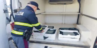 Sono stati gli agenti del Distaccamento della Polizia Stradale di Barcellona Pozzo di Gotto, impegnati in servizi di controllo lungo la A20, a procedere al sequestro di circa cento chili di novellame di sarda