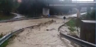 L’assessorato regionale all’Agricoltura dovrà risarcire per i danni subiti due imprenditori agricoli di Favara a marzo del 2012 a causa delle forti piogge