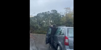 Intorno alle 16.30 di oggi 17 aprile 2023 in viale Regina Elena a Messina nel Rione di San Licandro, un grosso albero di pino si è abbattuto sul terreno schiacciando un’automobile sottostante che li si trovava parcheggiata