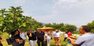 Grazie alla collaborazione fra l’Istituto Superiore Borghese Faranda di Patti, la Fondazione I.T.S. Albatros di Messina, il Comune di Patti ed alcune aziende presenti sul territorio pattese e nei comuni di Librizzi e San Piero Patti, è stata avviata la prima filiera della prima birra autoctona di Sicilia