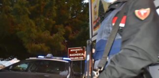 I carabinieri del Nucleo Radiomobile della Compagnia di Bagheria, hanno arrestato in flagranza di reato un 41enne e 36enne accusati di furto aggravato di gasolio