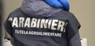 Il Reparto Carabinieri Tutela Agroalimentare di Messina ha eseguito un Decreto emesso dall’Ufficio del Giudice per le indagini preliminari presso il Tribunale di Crotone (KR) su richiesta della Procura Europea – Ufficio dei Procuratori Europei delegati per Sicilia e Calabria con sede in Palermo – che ha disposto il sequestro preventivo, anche per equivalente, di denaro e beni immobili per circa 322 mila euro, profitto di reato, nei confronti di due coniugi nonché del proprio figlio, tutti residenti nel Crotonese