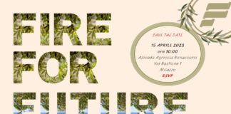 “Il momento migliore per piantare un albero era vent’anni fa. Il secondo miglior momento è ora” (antico proverbio cinese)