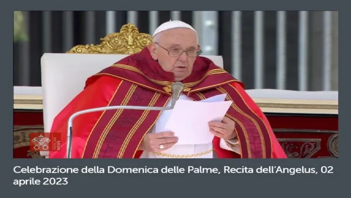 Papa Francesco domenica delle Palme