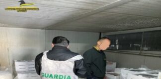 I Finanzieri della Stazione Navale di Messina e della Sezione Operativa Navale di Milazzo, nel corso di un servizio di polizia economico-finanziaria mirato alla tutela delle risorse ittiche e dell’economia legale, hanno sottoposto a sequestro 500 kg di novellame di sarda occultati all’interno di un furgone intercettato presso l’imbarcadero di Messina