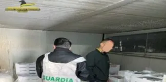 I Finanzieri della Stazione Navale di Messina e della Sezione Operativa Navale di Milazzo, nel corso di un servizio di polizia economico-finanziaria mirato alla tutela delle risorse ittiche e dell’economia legale, hanno sottoposto a sequestro 500 kg di novellame di sarda occultati all’interno di un furgone intercettato presso l’imbarcadero di Messina