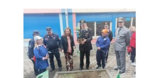 Nella mattinata di oggi i militari del Reparto Carabinieri Biodiversità di Reggio Calabria, unitamente ai Carabinieri della Compagnia di Taormina, hanno piantato l’albero di Falcone nel giardino della scuola primaria del plesso “M. Trimarchi- Bucalo” di Santa Teresa di Riva