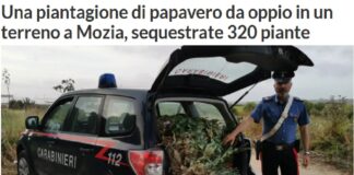 I militari della Sezione Operativa di Trapani con il supporto del personale della Motovedetta CC 811 Pignatelli localizzavano, in un terreno posto nei pressi della stazione ferroviaria di “Mozia – Birgi”, una piantagione di 320 piante di papavero da oppio