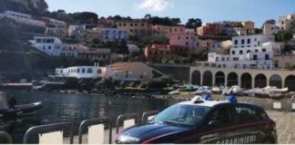 I carabinieri del comando provinciale di Palermo hanno arrestato un giovane di 29 anni accusato di acquistare droga a Palermo per poi rivenderla ad Ustica