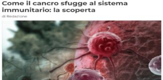 Per la prima volta, un gruppo di ricercatori del National Cancer Centre Singapore ha identificato il meccanismo che consente alle cellule tumorali di evadere il rilevamento e la distruzione del sistema immunitario