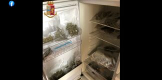 Continuano senza sosta, i controlli predisposti dalla Questura di Roma per reprimere i reati legati allo spaccio di sostanze stupefacenti