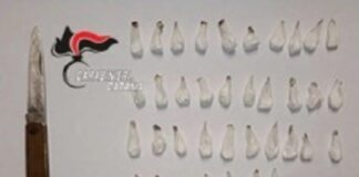 Un autista soccorritore del 118, di 47 anni, arrestato da carabinieri nel Catanese mentre, durante il suo turno di lavoro, trasportava in auto 37 dosi di cocaina