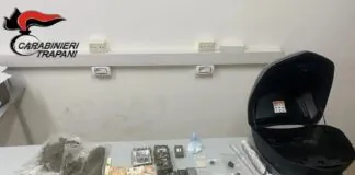 Il cane Ron riesce a individuare un emporio della droga a Trapani: il suo fiuto infallibile ha portato i carabinieri a scoprire un vero e proprio market gestito da un 39enne