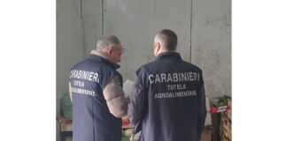 Ieri 15 giugno 2023, i Carabinieri della Compagnia Messina Centro e del Reparto Tutela Agroalimentare di Messina hanno svolto controlli presso diversi esercizi commerciali e del settore della ristorazione, a Messina e nei comuni limitrofi