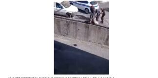 I responsabili dell’Associazione italiana difesa animali e ambiente (Aidaa), hanno reso noto, in un comunicato diffuso in queste ore di, “avere inviato alla Procura di Cosenza una denuncia in relazione al video apparso sui social girato ad Amantea nel quale si vede una persona che insegue con un bastone e probabilmente tenta di ammazzare un cucciolo di cinghiale alla presenza della polizia locale che poi a sua volta tenta di afferrarlo con un sacco facendo finire il cucciolo di cinghiale incastrato in una ringhiera”