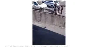 I responsabili dell’Associazione italiana difesa animali e ambiente (Aidaa), hanno reso noto, in un comunicato diffuso in queste ore di, “avere inviato alla Procura di Cosenza una denuncia in relazione al video apparso sui social girato ad Amantea nel quale si vede una persona che insegue con un bastone e probabilmente tenta di ammazzare un cucciolo di cinghiale alla presenza della polizia locale che poi a sua volta tenta di afferrarlo con un sacco facendo finire il cucciolo di cinghiale incastrato in una ringhiera”