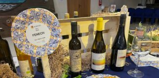 Il made in Eolie mostrato, illustrato, raccontato a Salina in occasione della XII edizione del Marefestival Premio Massimo Troisi: è stata inaugurata ieri al Centro Congressi di Malfa la fiera espositiva realizzata dall’associazione culturale Prima Sicilia col sostegno dell’Assessorato regionale delle Attività Produttive guidato dall’assessore Edy Tamajo