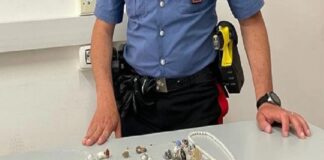 Gioielli rubati e ritrovati abbandonati in un sacchetto dietro una siepe: la scoperta fatta da un cittadino nel Trapanese che ha deciso di chiamare i carabinieri per segnalare il ritrovamento