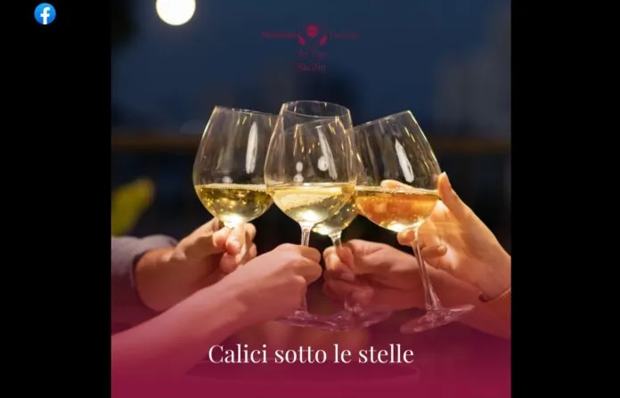 CALICI SOTTO LE STELLE DONNAFUGATA