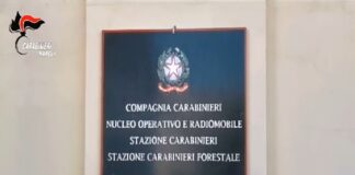 Questa notte, a Castellammare di Stabia (Na), Pompei (Na) e nelle province di Brescia e di Pisa, i militari della Compagnia Carabinieri di Castellammare di Stabia hanno dato esecuzione ad un’ordinanza di custodia cautelare, emessa dal G.I.P. del Tribunale di Napoli su richiesta della locale Direzione Distrettuale Antimafia, nei confronti di 18 indagati, gravemente indiziati, a vario titolo, dei reati di associazione armata di tipo mafioso, tentato omicidio, estorsione aggravata dal metodo mafioso, porto illegale di arma clandestina aggravato dal metodo mafioso, rapina aggravata dal metodo mafioso, detenzione ai fini di spaccio di sostanze stupefacenti, accesso indebito a dispositivi idonei alla comunicazione da parte di soggetti detenuti