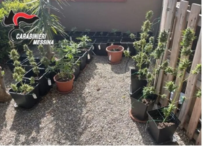 Droga Messina Gazzi CC