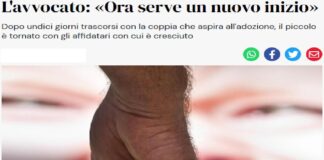 Undici giorni lontano da casa, ma il 25 luglio 2023 di pomeriggio Luca ha riabbracciato la famiglia in cui è cresciuto: «Non riesco a parlare dalla gioia», diceva commossa Maria (questo, come quello di Luca, è un nome inventato a tutela del bimbo), mamma affidataria del piccolo, «nel riabbracciarlo per lui è come se non fosse passato nemmeno un giorno, è incredibile e bellissimo»