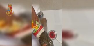 Procedono da giorni, senza sosta, i servizi della Polizia di Stato di contrasto alla criminalità diffusa nel territorio vibonese, mirata in particolare a combattere il fenomeno dello spaccio di sostanza stupefacente